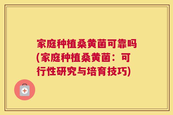 家庭种植桑黄菌可靠吗(家庭种植桑黄菌:可行性研究与培育技巧) 家庭种植桑黄菌可靠吗(家庭种植桑黄菌:可行性研究与培育技巧)