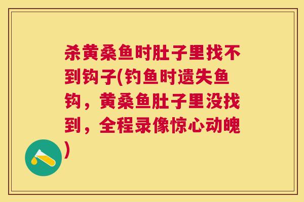 杀黄桑鱼时肚子里找不到钩子(钓鱼时遗失鱼钩,黄桑鱼肚子里没找到,全程录像惊心动魄) 杀黄桑鱼时肚子里找不到钩子(钓鱼时遗失鱼钩,黄桑鱼肚子里没找到,全程录像惊心动魄)