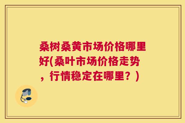 桑树桑黄市场价格哪里好(桑叶市场价格走势,行情稳定在哪里?) 桑树桑黄市场价格哪里好(桑叶市场价格走势,行情稳定在哪里?)