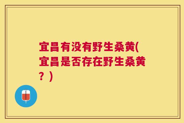 宜昌有没有野生桑黄(宜昌是否存在野生桑黄?) 宜昌有没有野生桑黄(宜昌是否存在野生桑黄?)