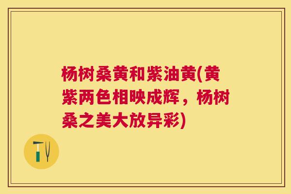 杨树桑黄和紫油黄(黄紫两色相映成辉,杨树桑之美大放异彩) 杨树桑黄和紫油黄(黄紫两色相映成辉,杨树桑之美大放异彩)