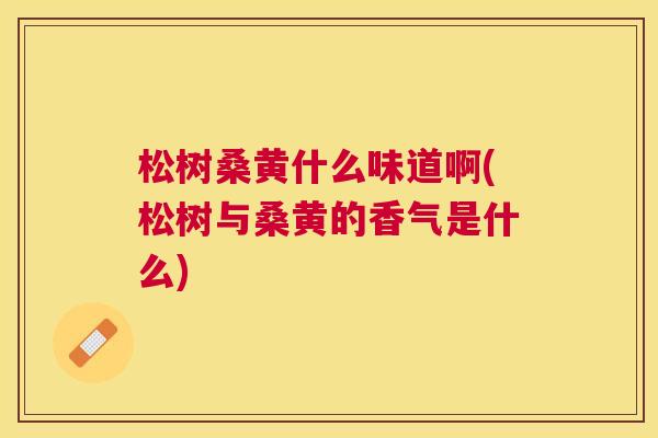 松树桑黄什么味道啊(松树与桑黄的香气是什么) 松树桑黄什么味道啊(松树与桑黄的香气是什么)