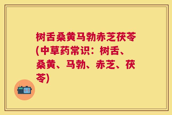 树舌桑黄马勃赤芝茯苓(中草药常识:树舌、桑黄、马勃、赤芝、茯苓) 树舌桑黄马勃赤芝茯苓(中草药常识:树舌、桑黄、马勃、赤芝、茯苓)