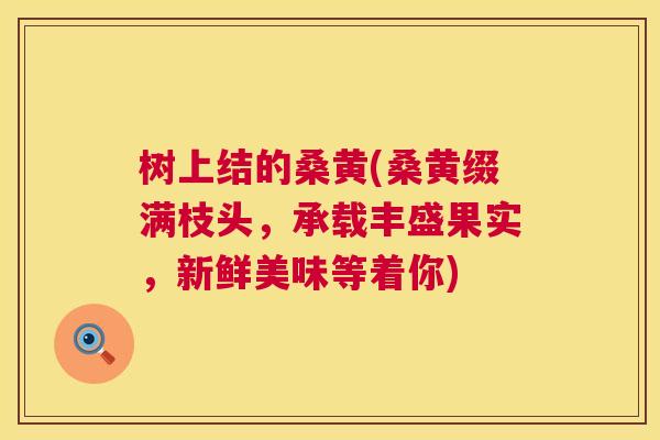 树上结的桑黄(桑黄缀满枝头,承载丰盛果实,新鲜美味等着你) 树上结的桑黄(桑黄缀满枝头,承载丰盛果实,新鲜美味等着你)