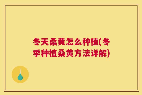 冬天桑黄怎么种植(冬季种植桑黄方法详解) 冬天桑黄怎么种植(冬季种植桑黄方法详解)