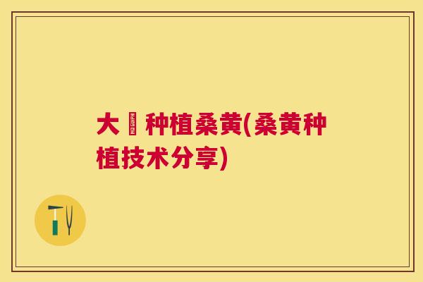 大掤种植桑黄(桑黄种植技术分享) 大掤种植桑黄(桑黄种植技术分享)