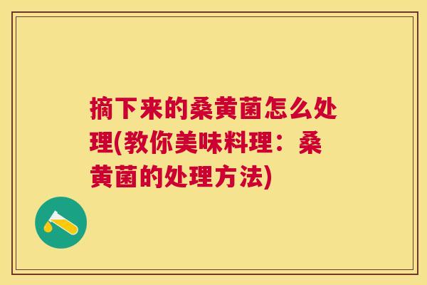 摘下来的桑黄菌怎么处理(教你美味料理:桑黄菌的处理方法) 摘下来的桑黄菌怎么处理(教你美味料理:桑黄菌的处理方法)