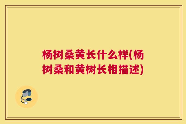 杨树桑黄长什么样(杨树桑和黄树长相描述) 杨树桑黄长什么样(杨树桑和黄树长相描述)