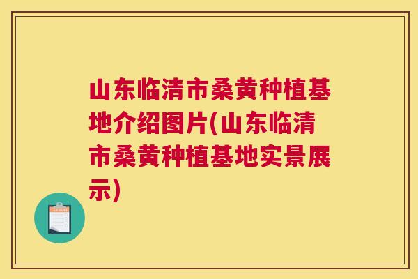 山东临清市桑黄种植基地介绍图片(山东临清市桑黄种植基地实景展示) 山东临清市桑黄种植基地介绍图片(山东临清市桑黄种植基地实景展示)
