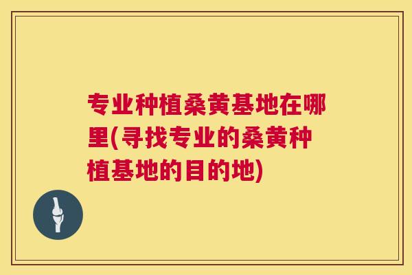 专业种植桑黄基地在哪里(寻找专业的桑黄种植基地的目的地) 专业种植桑黄基地在哪里(寻找专业的桑黄种植基地的目的地)