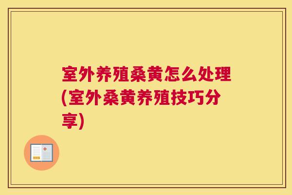 室外养殖桑黄怎么处理(室外桑黄养殖技巧分享)