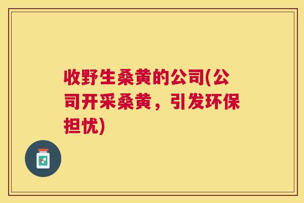 收野生桑黄的公司(公司开采桑黄,引发环保担忧) 收野生桑黄的公司(公司开采桑黄,引发环保担忧)