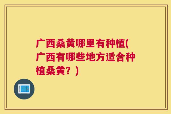 广西桑黄哪里有种植(广西有哪些地方适合种植桑黄?) 广西桑黄哪里有种植(广西有哪些地方适合种植桑黄?)
