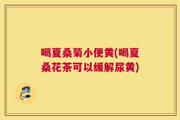 喝夏桑菊小便黄(喝夏桑花茶可以缓解尿黄) 喝夏桑菊小便黄(喝夏桑花茶可以缓解尿黄)