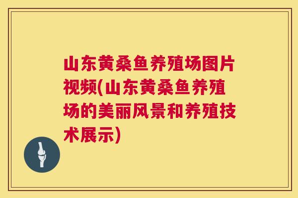 山东黄桑鱼养殖场图片视频(山东黄桑鱼养殖场的美丽风景和养殖技术展示) 山东黄桑鱼养殖场图片视频(山东黄桑鱼养殖场的美丽风景和养殖技术展示)