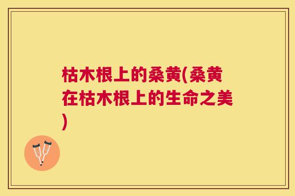 枯木根上的桑黄(桑黄在枯木根上的生命之美) 枯木根上的桑黄(桑黄在枯木根上的生命之美)