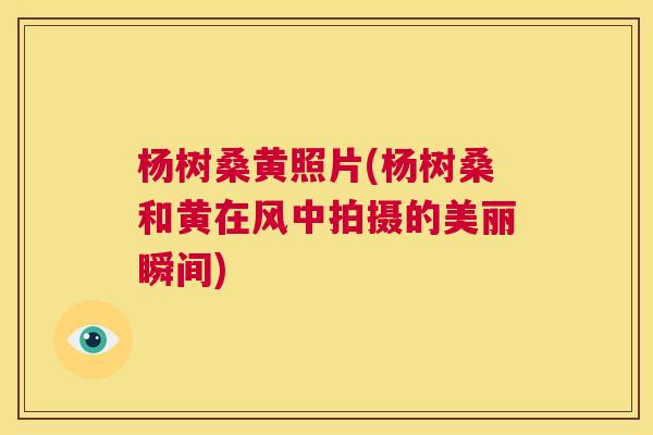 杨树桑黄照片(杨树桑和黄在风中拍摄的美丽瞬间) 杨树桑黄照片(杨树桑和黄在风中拍摄的美丽瞬间)