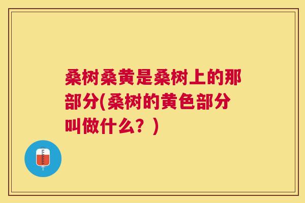 桑树桑黄是桑树上的那部分(桑树的黄色部分叫做什么?) 桑树桑黄是桑树上的那部分(桑树的黄色部分叫做什么?)