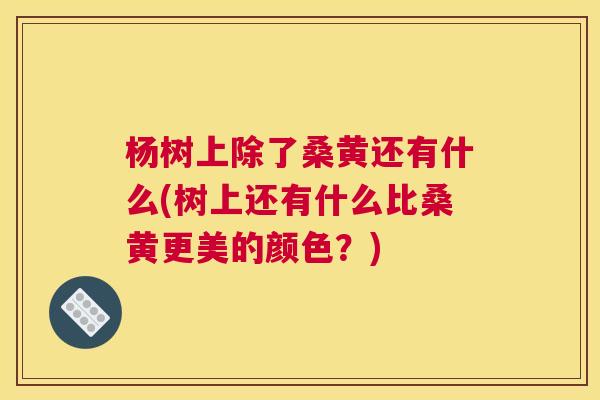 杨树上除了桑黄还有什么(树上还有什么比桑黄更美的颜色?) 杨树上除了桑黄还有什么(树上还有什么比桑黄更美的颜色?)