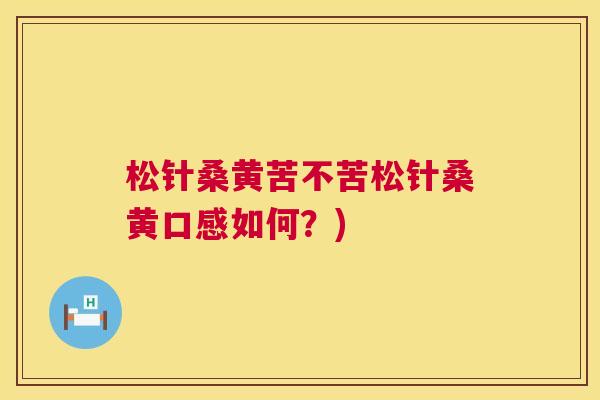 松针桑黄苦不苦松针桑黄口感如何?) 松针桑黄苦不苦松针桑黄口感如何?)