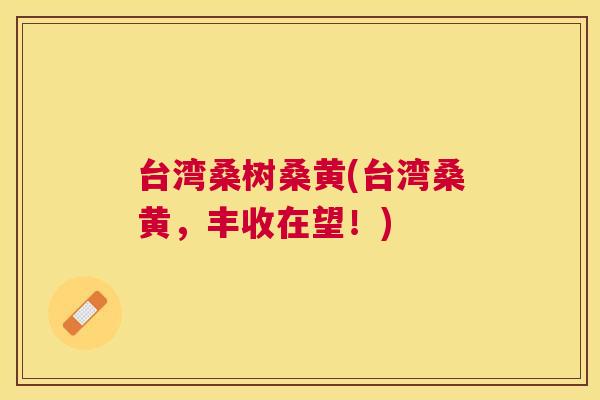台湾桑树桑黄(台湾桑黄,丰收在望!) 台湾桑树桑黄(台湾桑黄,丰收在望!)