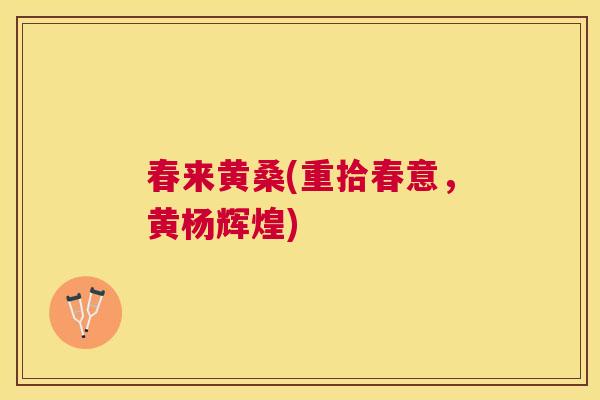 春来黄桑(重拾春意,黄杨辉煌) 春来黄桑(重拾春意,黄杨辉煌)