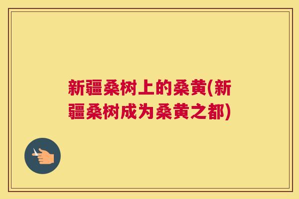 新疆桑树上的桑黄(新疆桑树成为桑黄之都) 新疆桑树上的桑黄(新疆桑树成为桑黄之都)