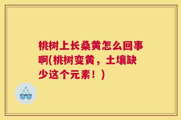 桃树上长桑黄怎么回事啊(桃树变黄,土壤缺少这个元素!) 桃树上长桑黄怎么回事啊(桃树变黄,土壤缺少这个元素!)