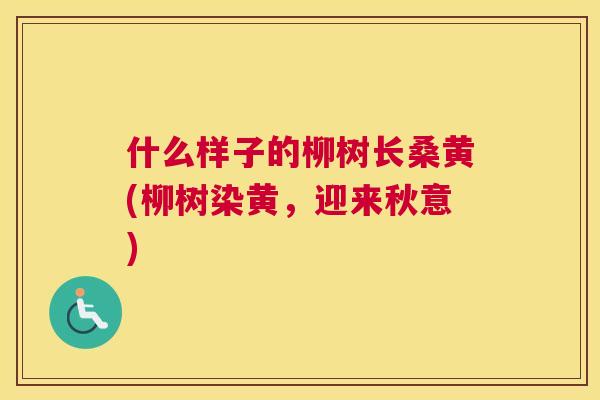 什么样子的柳树长桑黄(柳树染黄,迎来秋意) 什么样子的柳树长桑黄(柳树染黄,迎来秋意)