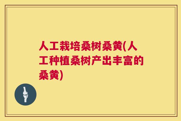 人工栽培桑树桑黄(人工种植桑树产出丰富的桑黄) 人工栽培桑树桑黄(人工种植桑树产出丰富的桑黄)