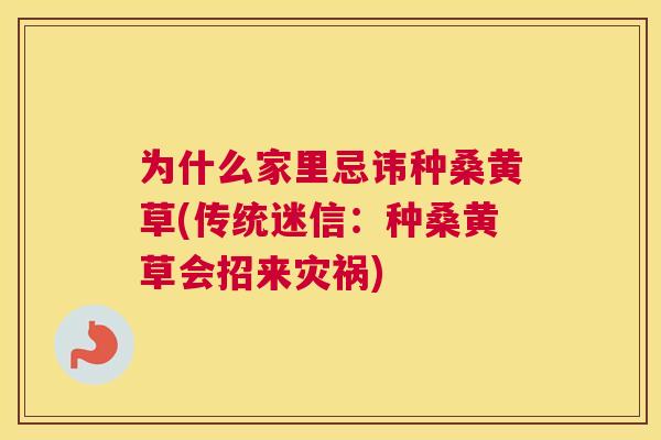 为什么家里忌讳种桑黄草(传统迷信：种桑黄草会招来灾祸)