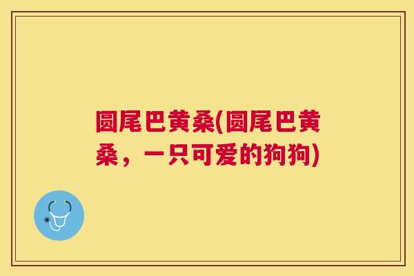 圆尾巴黄桑(圆尾巴黄桑,一只可爱的狗狗) 圆尾巴黄桑(圆尾巴黄桑,一只可爱的狗狗)