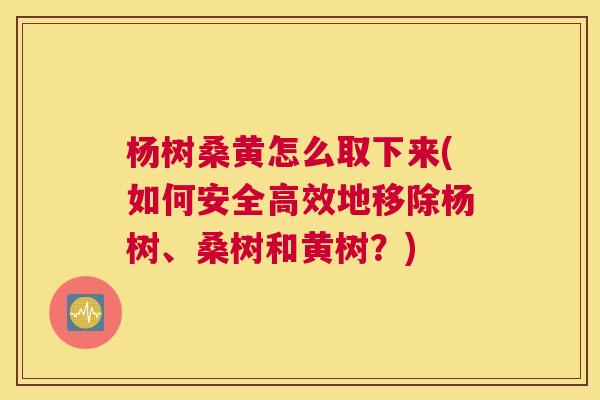 杨树桑黄怎么取下来(如何安全高效地移除杨树、桑树和黄树?) 杨树桑黄怎么取下来(如何安全高效地移除杨树、桑树和黄树?)