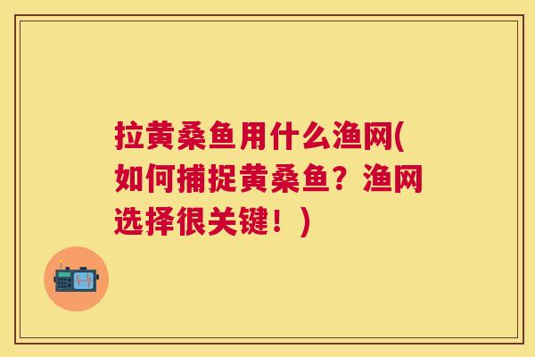 拉黄桑鱼用什么渔网(如何捕捉黄桑鱼?渔网选择很关键!) 拉黄桑鱼用什么渔网(如何捕捉黄桑鱼?渔网选择很关键!)