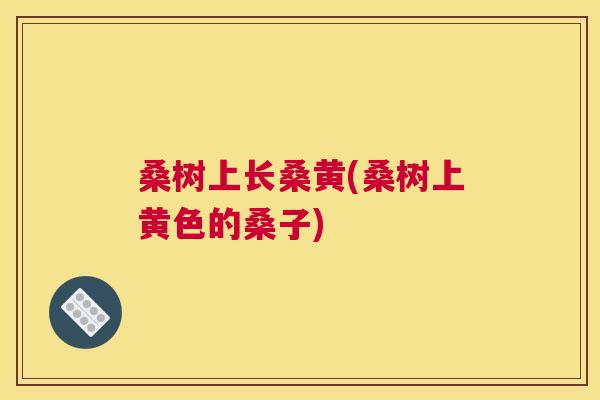 桑树上长桑黄(桑树上黄色的桑子) 桑树上长桑黄(桑树上黄色的桑子)