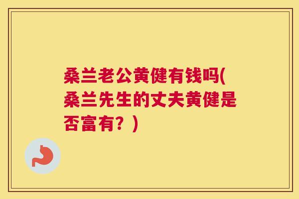 桑兰老公黄健有钱吗(桑兰先生的丈夫黄健是否富有？)