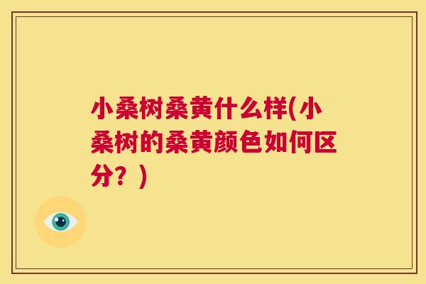 小桑树桑黄什么样(小桑树的桑黄颜色如何区分?) 小桑树桑黄什么样(小桑树的桑黄颜色如何区分?)