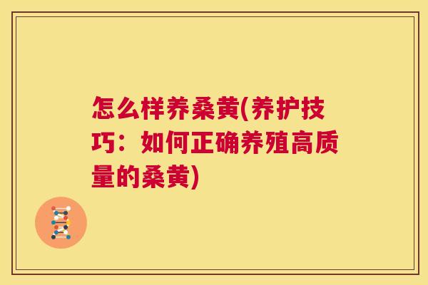怎么样养桑黄(养护技巧:如何正确养殖高质量的桑黄) 怎么样养桑黄(养护技巧:如何正确养殖高质量的桑黄)