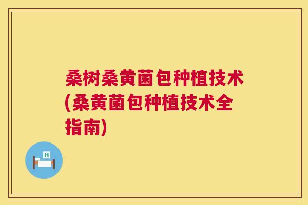 桑树桑黄菌包种植技术(桑黄菌包种植技术全指南) 桑树桑黄菌包种植技术(桑黄菌包种植技术全指南)