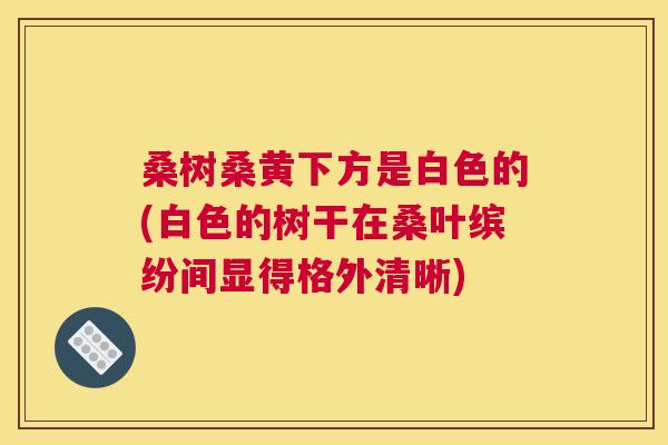 桑树桑黄下方是白色的(白色的树干在桑叶缤纷间显得格外清晰) 桑树桑黄下方是白色的(白色的树干在桑叶缤纷间显得格外清晰)