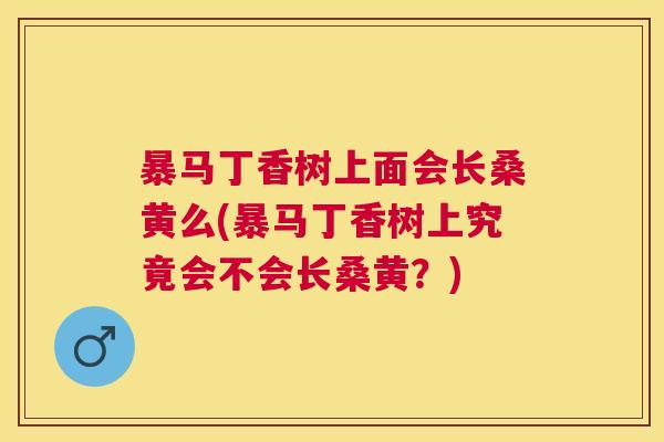 暴马丁香树上面会长桑黄么(暴马丁香树上究竟会不会长桑黄?) 暴马丁香树上面会长桑黄么(暴马丁香树上究竟会不会长桑黄?)