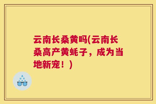 云南长桑黄吗(云南长桑高产黄蚝子,成为当地新宠!) 云南长桑黄吗(云南长桑高产黄蚝子,成为当地新宠!)