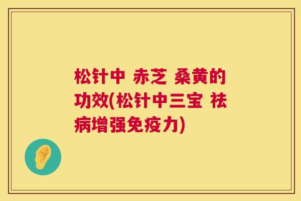 松针中 赤芝 桑黄的功效(松针中三宝 祛增强力) 松针中 赤芝 桑黄的功效(松针中三宝 祛增强力)