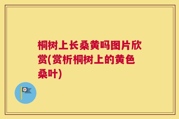 桐树上长桑黄吗图片欣赏(赏析桐树上的黄色桑叶) 桐树上长桑黄吗图片欣赏(赏析桐树上的黄色桑叶)