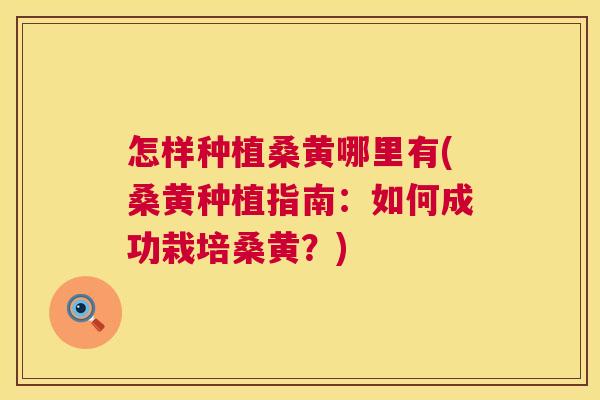 怎样种植桑黄哪里有(桑黄种植指南:如何成功栽培桑黄?) 怎样种植桑黄哪里有(桑黄种植指南:如何成功栽培桑黄?)