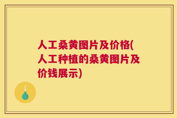人工桑黄图片及价格(人工种植的桑黄图片及价钱展示) 人工桑黄图片及价格(人工种植的桑黄图片及价钱展示)