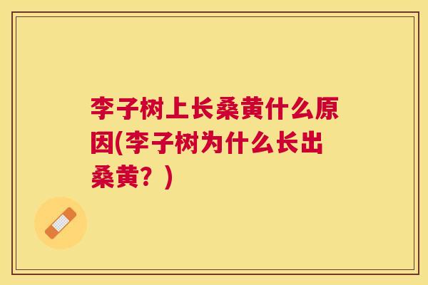 李子树上长桑黄什么原因(李子树为什么长出桑黄?) 李子树上长桑黄什么原因(李子树为什么长出桑黄?)