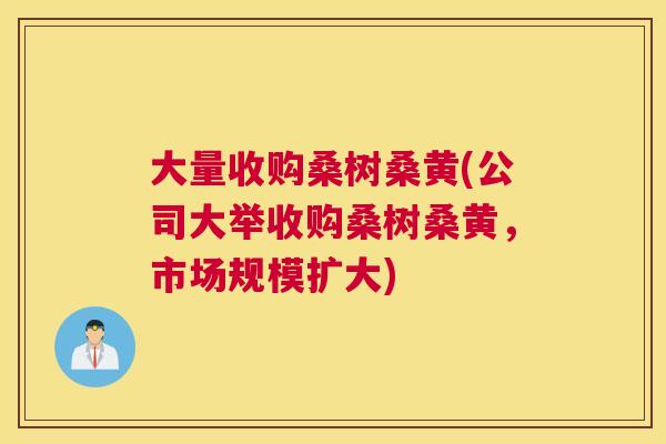 大量收购桑树桑黄(公司大举收购桑树桑黄,市场规模扩大) 大量收购桑树桑黄(公司大举收购桑树桑黄,市场规模扩大)