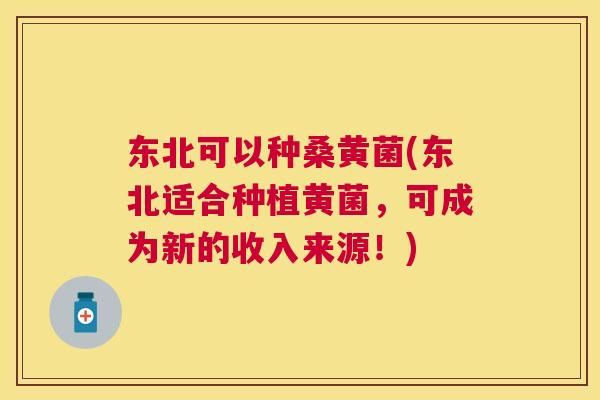 东北可以种桑黄菌(东北适合种植黄菌,可成为新的收入来源!) 东北可以种桑黄菌(东北适合种植黄菌,可成为新的收入来源!)