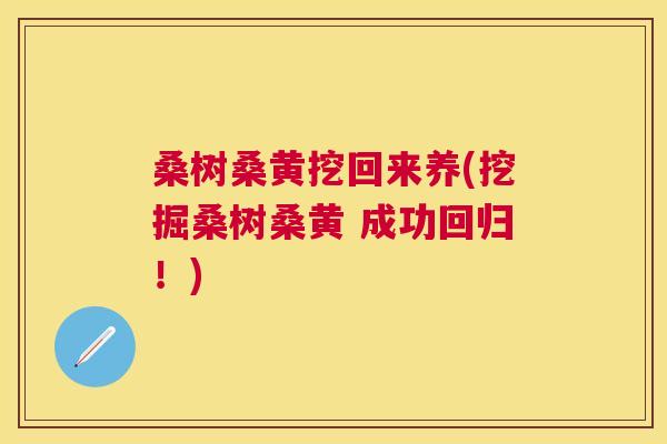桑树桑黄挖回来养(挖掘桑树桑黄 成功回归!) 桑树桑黄挖回来养(挖掘桑树桑黄 成功回归!)